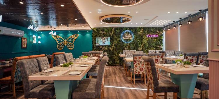 焦特布尔君主酒店(Hotel Monarch-Jodhpur)图片