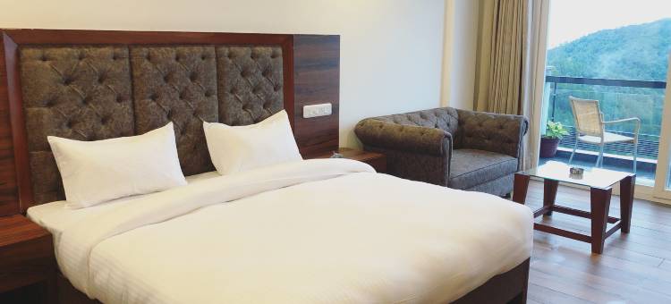 查尔旅馆(Hotel Chail Residency)图片