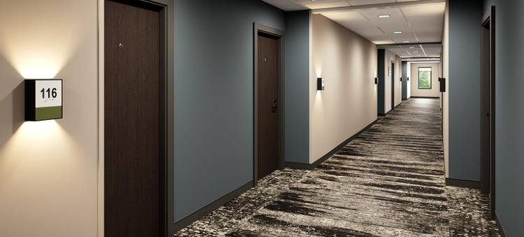 迈阿密布里克尔阿特维尔套房酒店(Atwell Suites Miami Brickell)图片