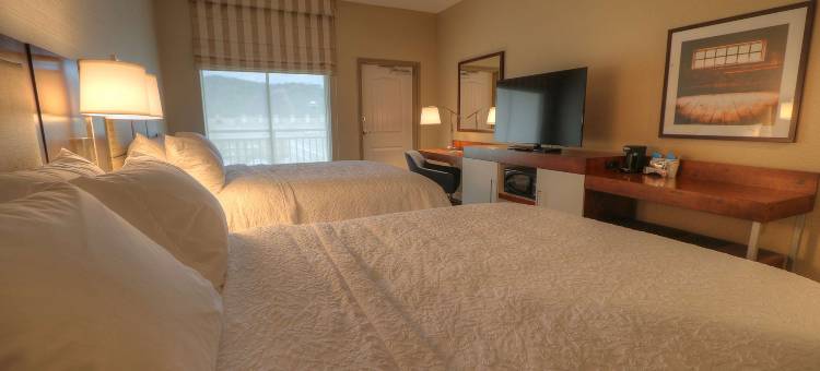 希尔顿欢朋酒店-加特林堡历史自然路径(Hampton Inn Gatlinburg Historic Nature Trail)图片