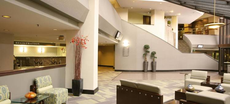 斯普林菲尔德市中心温德姆酒店(Wyndham Springfield City Centre)图片