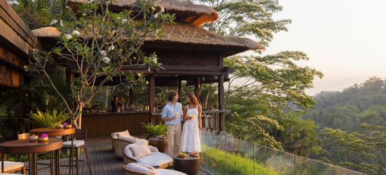 曼答帕丽思卡尔顿隐世酒店(Mandapa, a Ritz-Carlton Reserve)图片