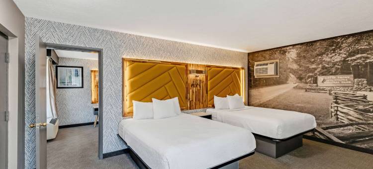 LeConte汽车旅馆华美达由维亚德姆(The Wander Hotel, a Ramada by Wyndham)图片