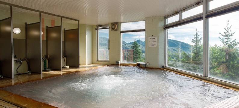 志贺高原发哺温泉岩菅酒店(Hotel Iwasuge)图片