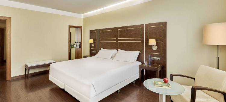 NH格兰酒店(NH Gran Casino Extremadura)图片