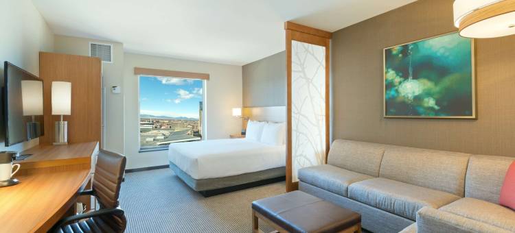 丹佛市中心凯悦嘉轩酒店(Hyatt Place Denver Downtown)图片