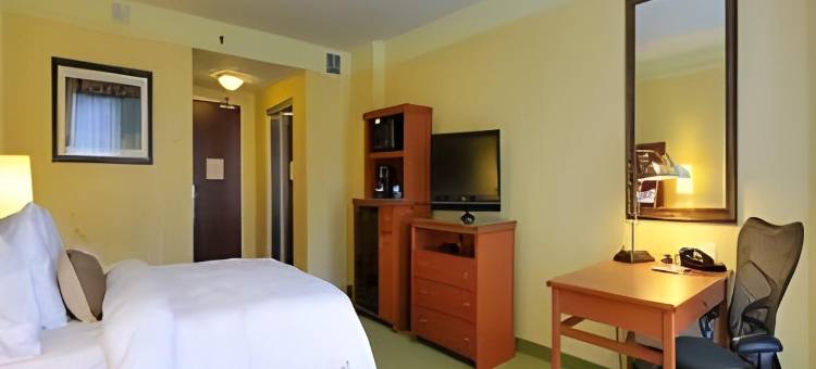 蒙特利尔中心希尔顿花园酒店(Hilton Garden Inn Montreal Centre-Ville)图片