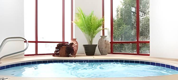 北奥拉西智选假日酒店及套房(Holiday Inn Express & Suites Olathe North)图片