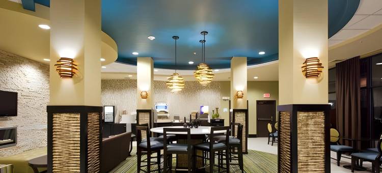 智选假日套房酒店韦克罗斯 by IHG(Holiday Inn Express & Suites Waycross)图片