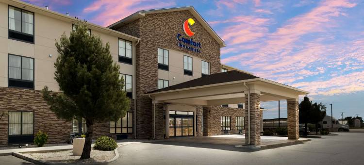 舒适套房酒店(Comfort Inn & Suites)图片