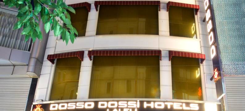 多索多西拉莱利酒店(Dosso Dossi Hotels Laleli)图片