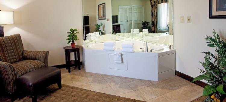 智选假日套房酒店哥伦布AT诺斯莱克(Holiday Inn Express & Suites COLUMBUS AT NORTHLAKE by IHG)图片