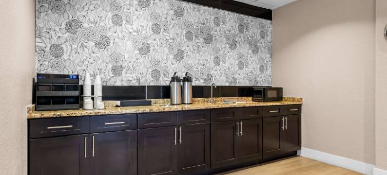 奥兰多郊区公寓酒店-奥科伊-冬季花园(Suburban Studios Orlando - Ocoee-Winter Garden)图片