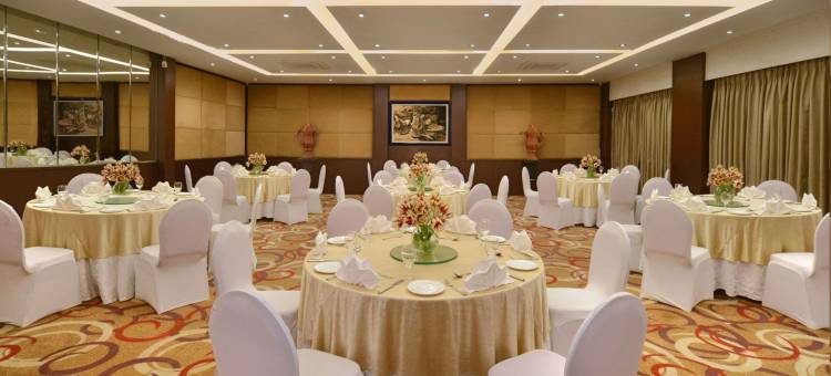 金色郁金香斯里纳格(Golden Tulip Srinagar)图片