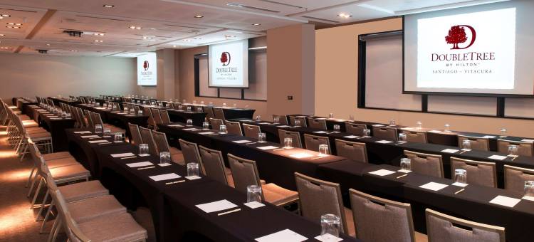 圣地亚哥比塔库拉希尔顿逸林酒店(DoubleTree by Hilton Santiago - Vitacura)图片