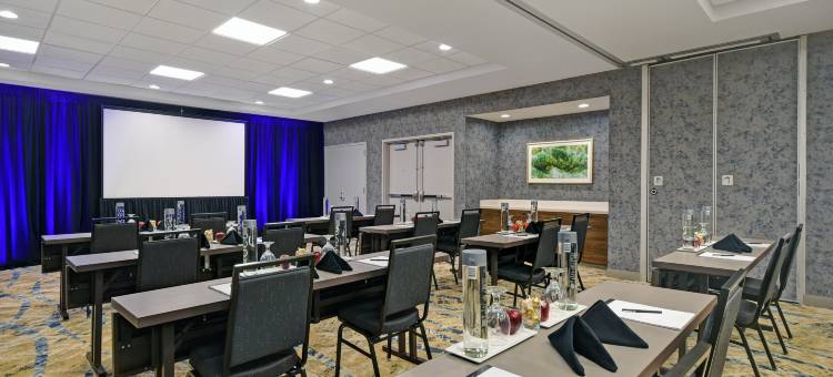 休斯顿加勒里亚区希尔顿花园酒店(Hilton Garden Inn Houston/Galleria Area)图片