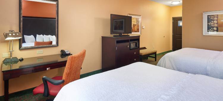 韦科南欢朋酒店(Hampton Inn & Suites Waco-South)图片