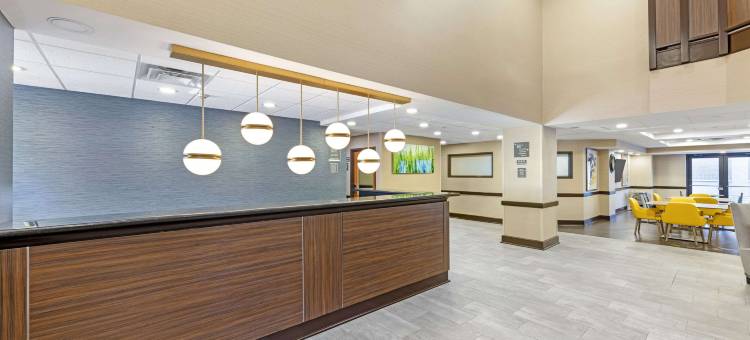 阿灵顿高地舒适套房酒店-绍姆堡(Comfort Inn & Suites Arlington Heights - Schaumburg)图片
