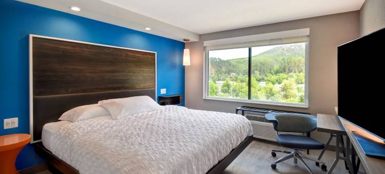 戴德伍德希尔顿Tru酒店(Tru by Hilton Deadwood)图片