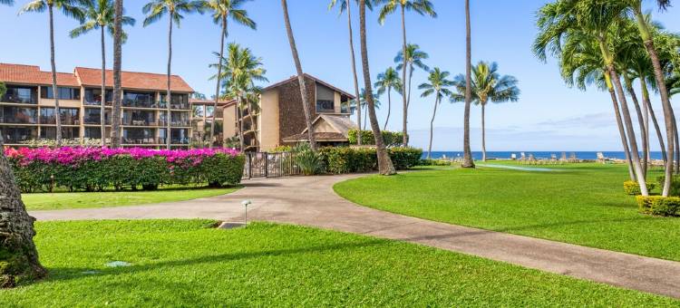Papakea Resorts BEST Location - Water views, steps to ocean, BBQ & Pool!图片