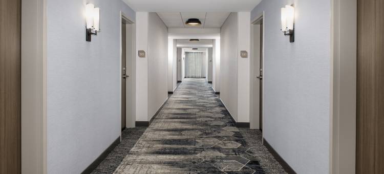 彭萨科拉市中心希尔顿花园酒店(Hilton Garden Inn Pensacola Downtown)图片