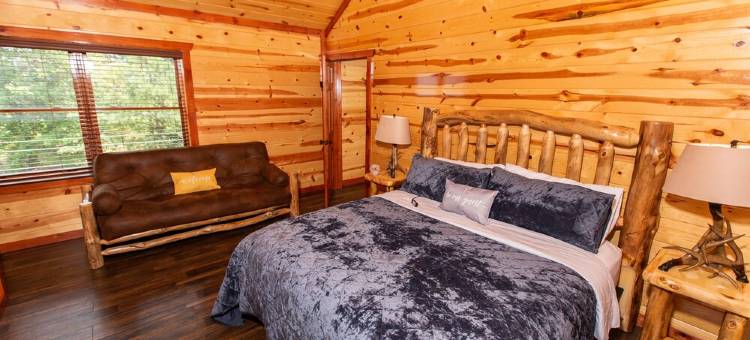 New Listing-in-Cabin Pool-Arcades-King Beds图片