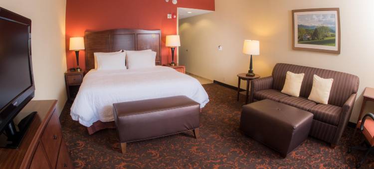 伍德斯托克欢朋套房酒店(Hampton Inn & Suites Woodstock)图片