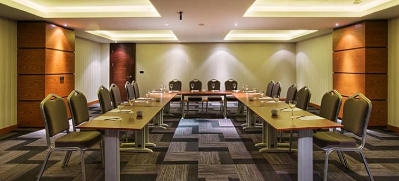 埃尔比勒市中心德德曼酒店(Dedeman Erbil Hotel City Center)图片