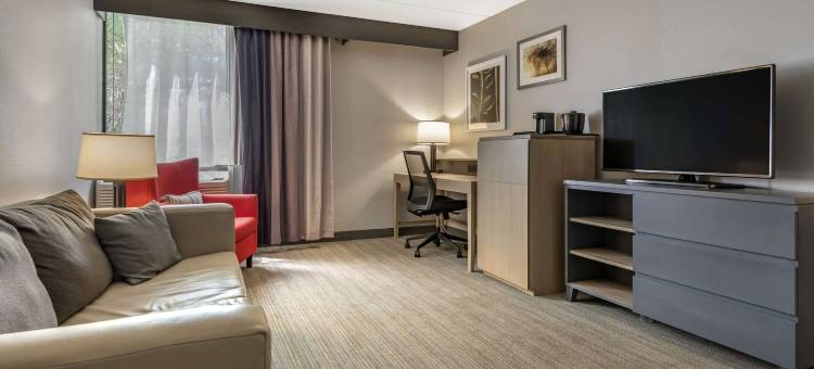 利物浦舒适酒店及套房-锡拉丘兹北(Comfort Inn & Suites Liverpool - Syracuse North)图片