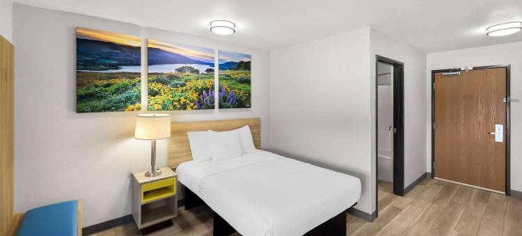 罗切斯特医城Birch Hill套房(Birch Hill Suites Rochester - Med City)图片