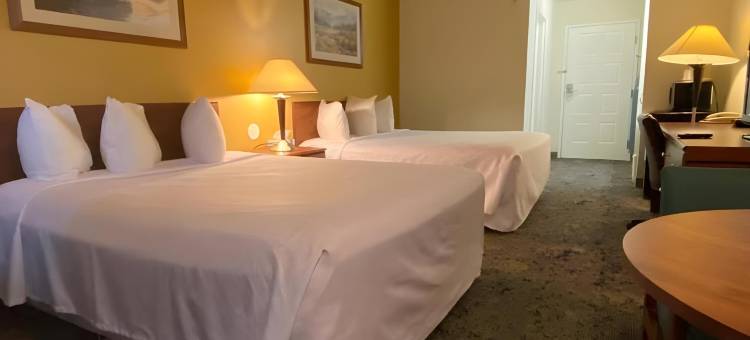 萨莱纳北部的罗德威(Rodeway Inn Salina North)图片