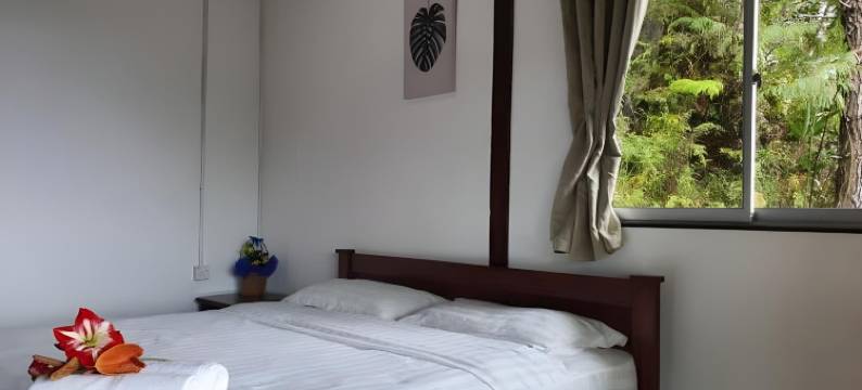昆达山尼克高德花园度假村(Nikgold Garden Resort Kundasang)图片