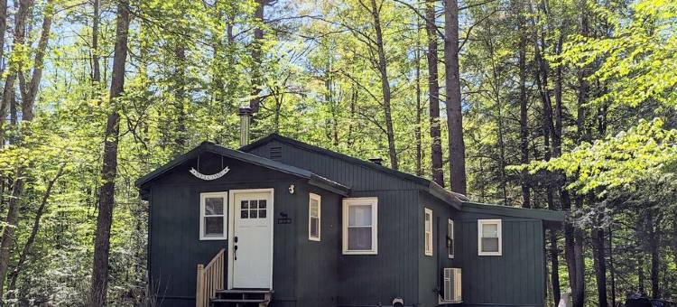 Outdoor lovers! Walk to the Lake - Kayaks -  Chiminea -  Fox State Forest.图片