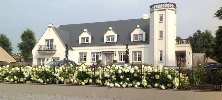 雷纳特别墅(Villa Reynaert)图片