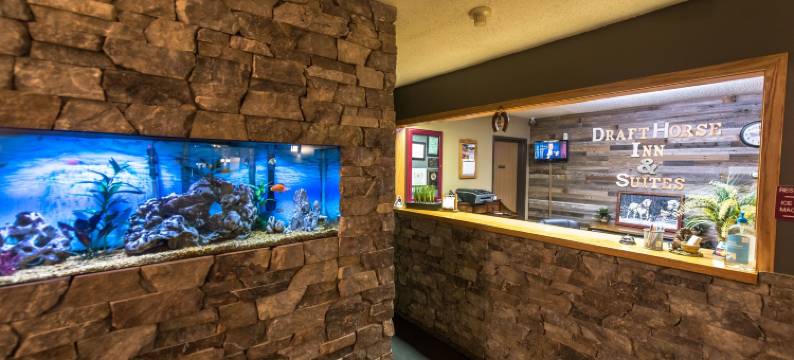 驮马套房酒店(Draft Horse Inn and Suites)图片