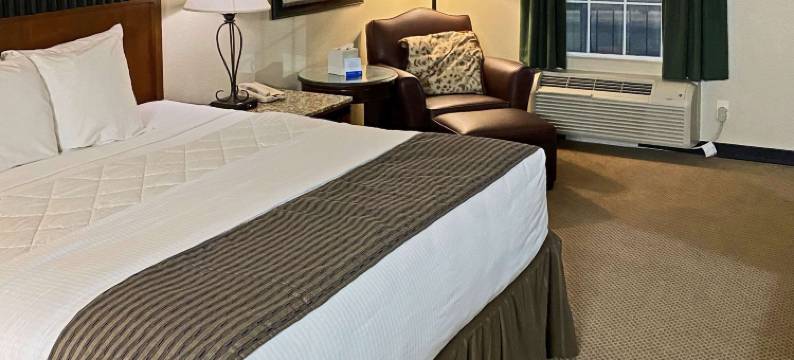 罗德威圣安吉洛假日酒店(Rodeway Inn)图片