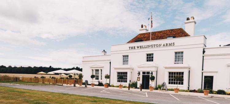 The Wellington Arms图片
