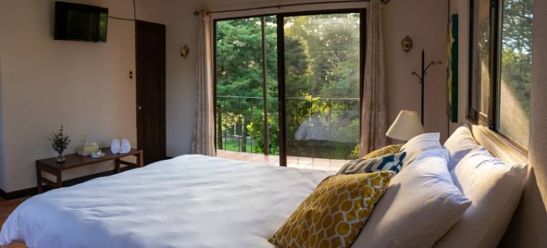 瓜西马隐居精品酒店(Guácima Escondida Hotel Boutique)图片