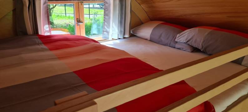 蝴蝶之家(Haus der Schmetterlinge)图片