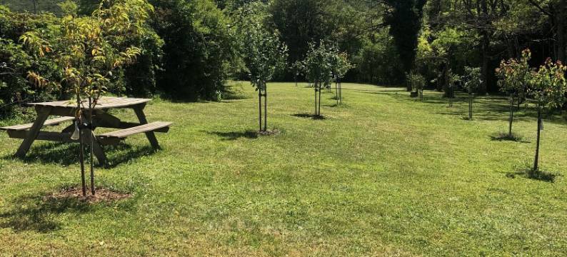 拉曼瑟酒店及餐厅(Hôtel Restaurant la Manse)图片