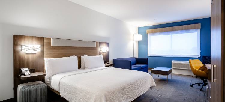 韦科市中心智选假日酒店及套房(Holiday Inn Express & Suites Waco Downtown)图片