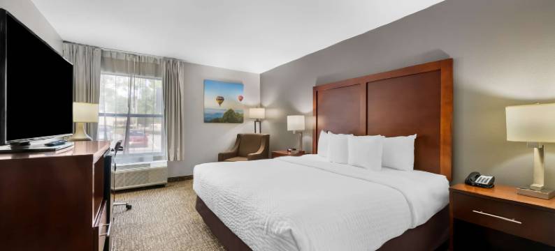 埃佩克斯 - 霍利斯普林斯凯隆波因特酒店(Clarion Pointe Apex - Holly Springs)图片