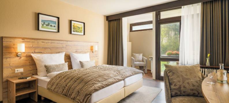 刘易斯公园酒店(Hotel Luisenpark)图片