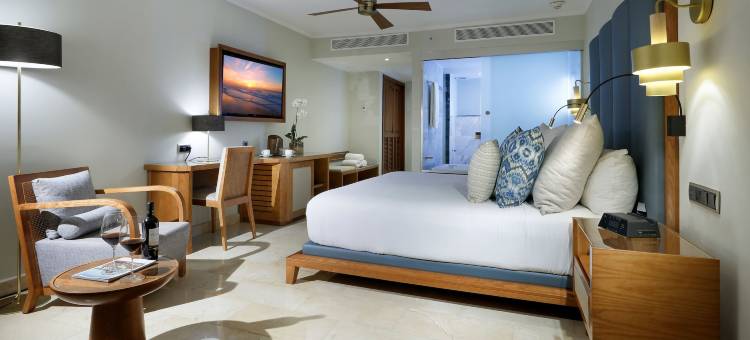 格兰巴拉典恩蓬塔卡纳Spa度假酒店 - 全包(Grand Palladium Punta Cana Resort & Spa - All Inclusive)图片