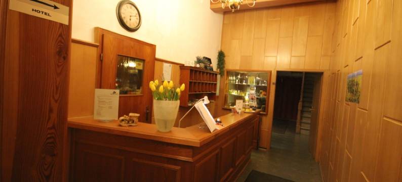 德鲁伊登斯泰恩酒店及餐厅(Hotel & Restaurant Druidenstein)图片