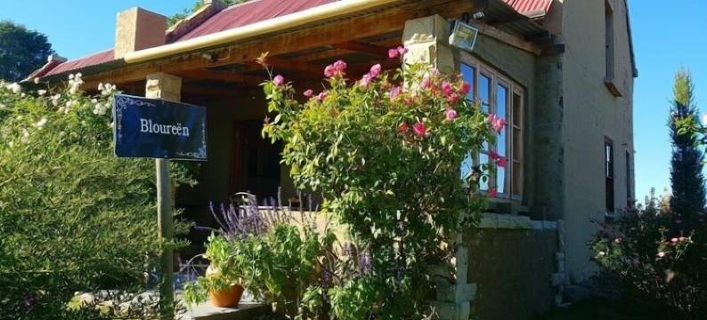 阿菲农庄精品客栈(Affi Lande Boetiek Guestfarm)图片