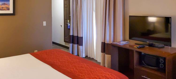 舒适酒店及套房-坦佩凤凰城天港机场(Comfort Inn & Suites Tempe Phoenix Sky Harbor Airport)图片