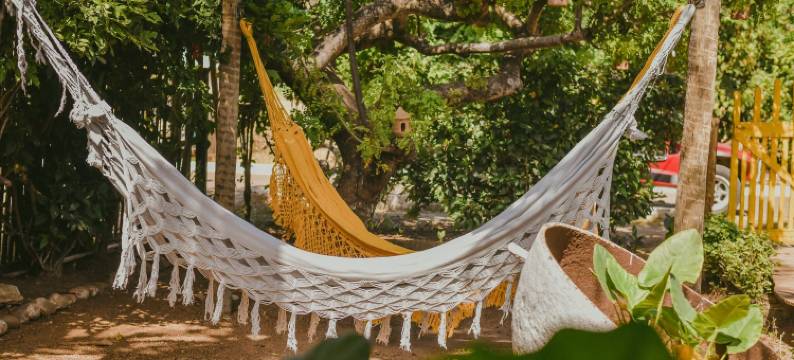 EcoCharme Pousada Netuno旅馆(EcoCharme Pousada Netuno)图片