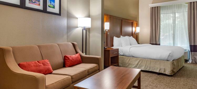 克莱顿加纳舒适套房酒店(Comfort Suites Clayton - Garner)图片