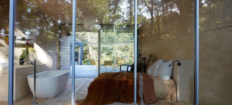 美丽的疯狂(La Belle Folie)图片